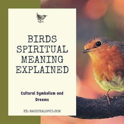 Birds and Elemental Magick: Understanding the Connection to Air and Spirit